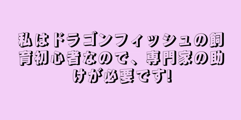 私はドラゴンフィッシュの飼育初心者なので、専門家の助けが必要です!