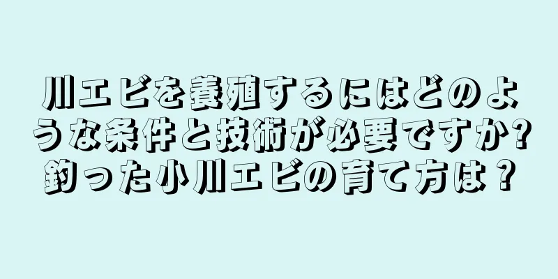 川エビを養殖するにはどのような条件と技術が必要ですか?釣った小川エビの育て方は？