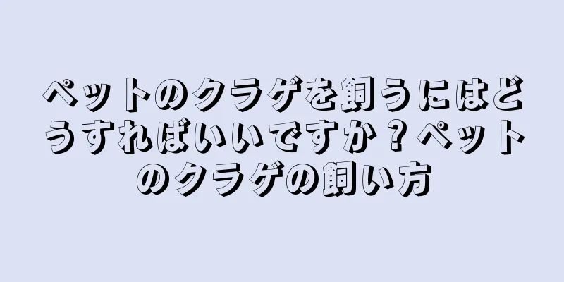 ペットのクラゲを飼うにはどうすればいいですか？ペットのクラゲの飼い方