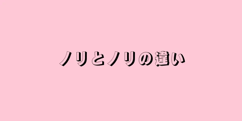 ノリとノリの違い