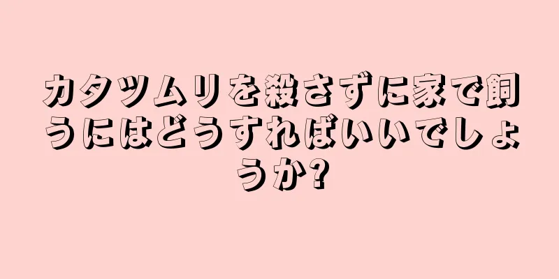 カタツムリを殺さずに家で飼うにはどうすればいいでしょうか?
