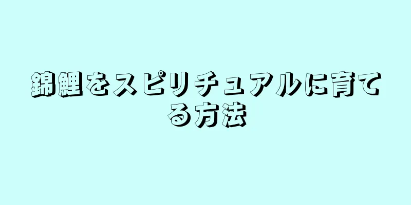 錦鯉をスピリチュアルに育てる方法