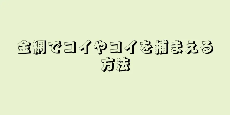 金網でコイやコイを捕まえる方法