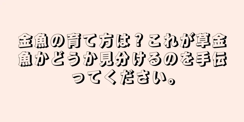 金魚の育て方は？これが草金魚かどうか見分けるのを手伝ってください。