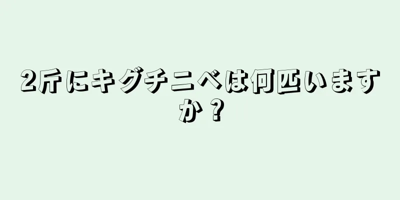 2斤にキグチニベは何匹いますか？