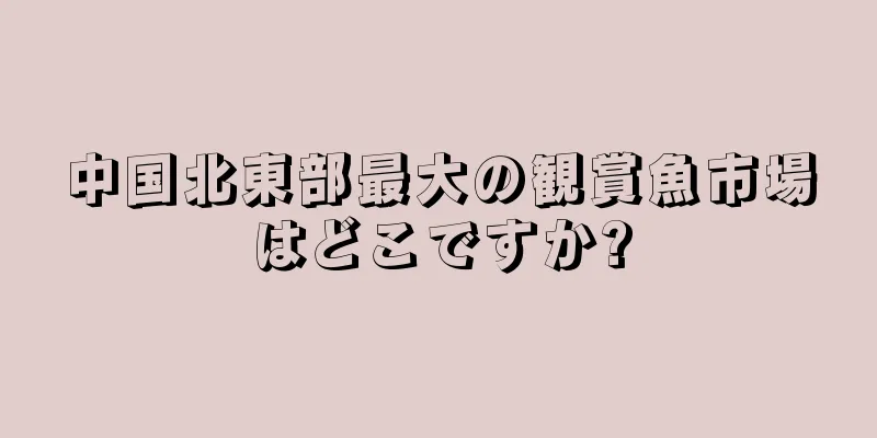 中国北東部最大の観賞魚市場はどこですか?