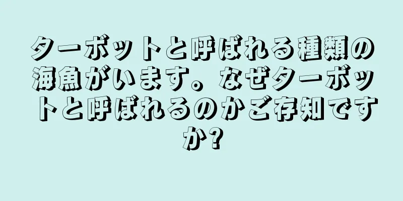 ターボットと呼ばれる種類の海魚がいます。なぜターボットと呼ばれるのかご存知ですか?