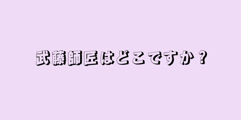 武藤師匠はどこですか？