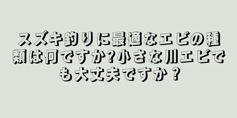 スズキ釣りに最適なエビの種類は何ですか?小さな川エビでも大丈夫ですか？