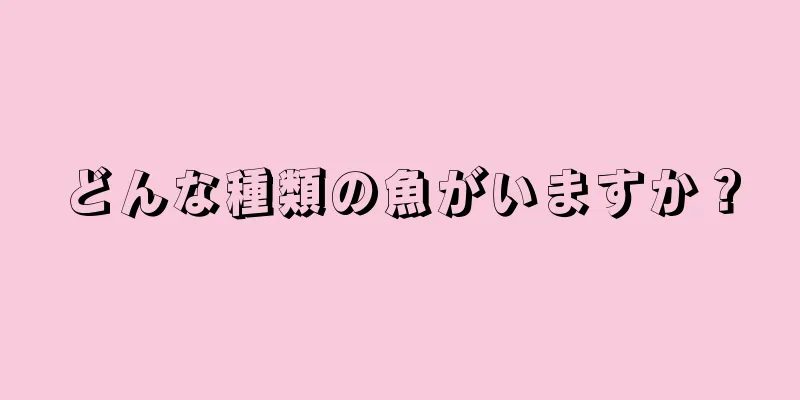 どんな種類の魚がいますか？