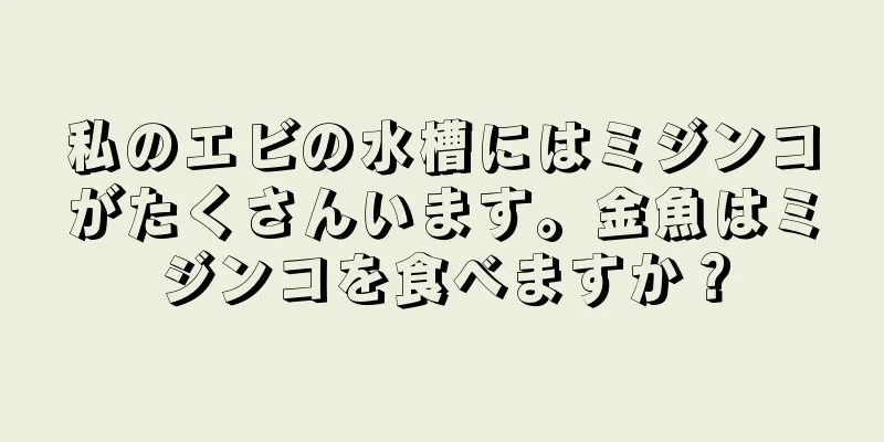 私のエビの水槽にはミジンコがたくさんいます。金魚はミジンコを食べますか？