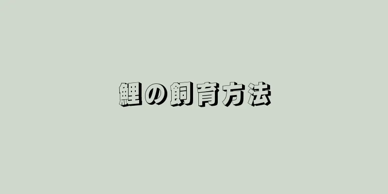 鯉の飼育方法