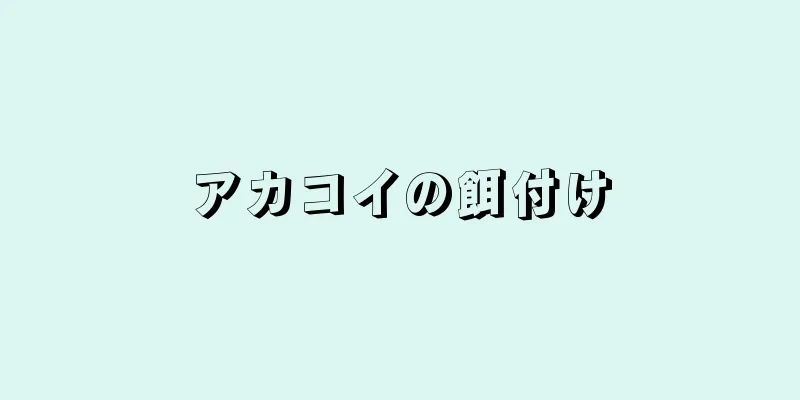アカコイの餌付け