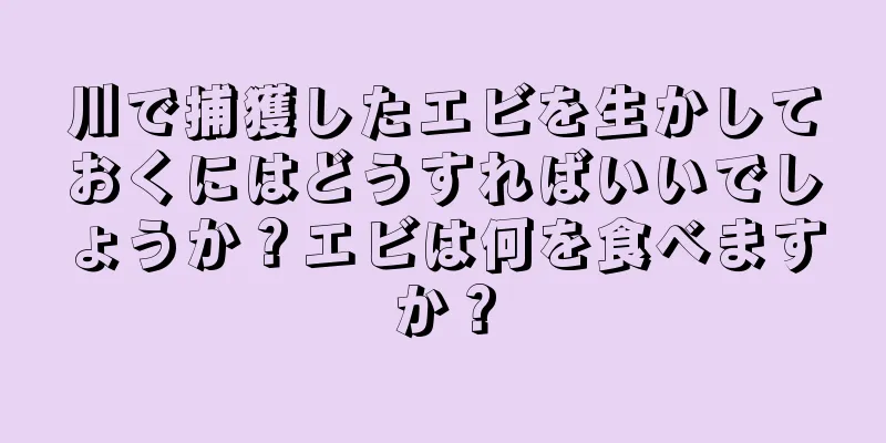 川で捕獲したエビを生かしておくにはどうすればいいでしょうか？エビは何を食べますか？