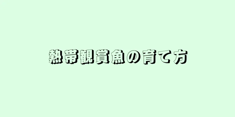 熱帯観賞魚の育て方
