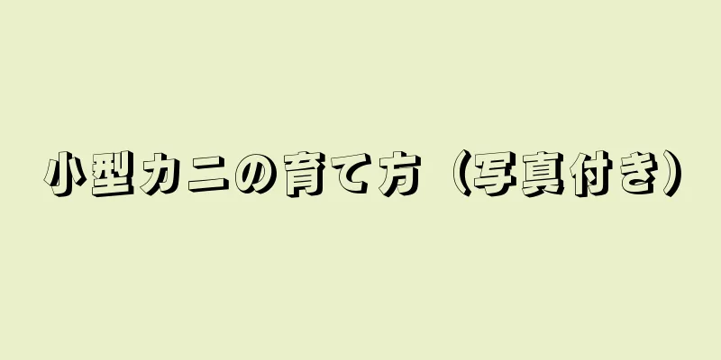 小型カニの育て方（写真付き）