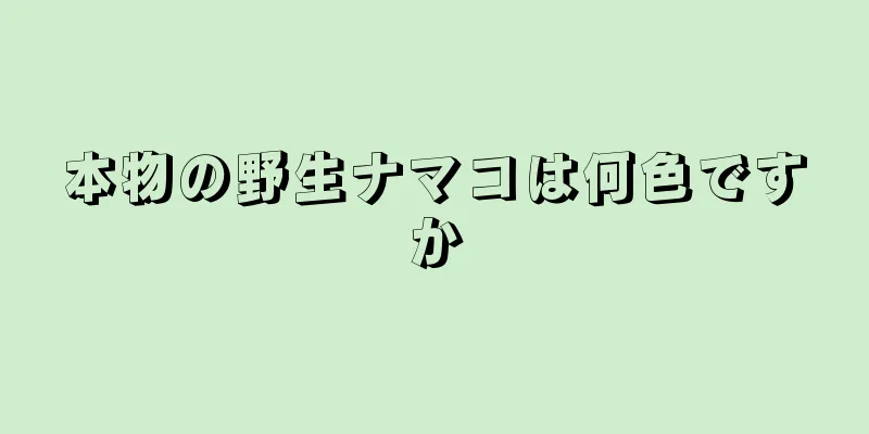 本物の野生ナマコは何色ですか