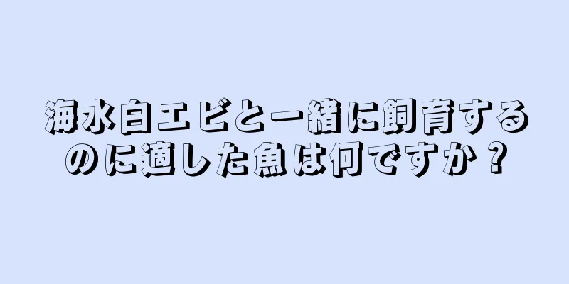 海水白エビと一緒に飼育するのに適した魚は何ですか？