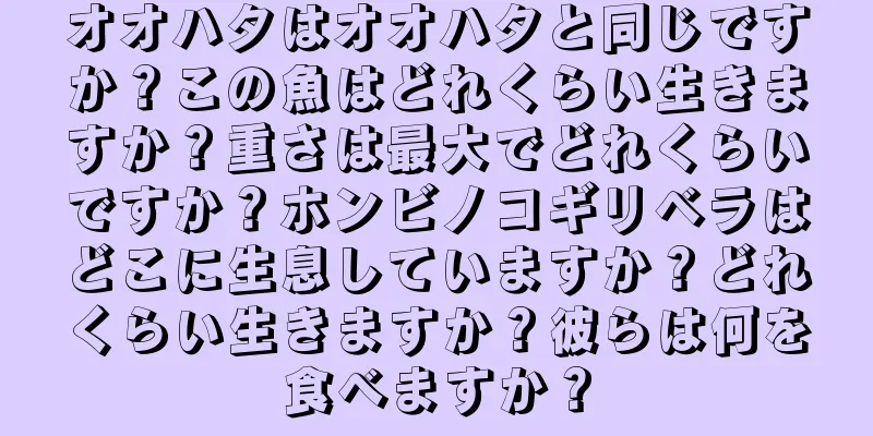 オオハタはオオハタと同じですか？この魚はどれくらい生きますか？重さは最大でどれくらいですか？ホンビノコギリベラはどこに生息していますか？どれくらい生きますか？彼らは何を食べますか？