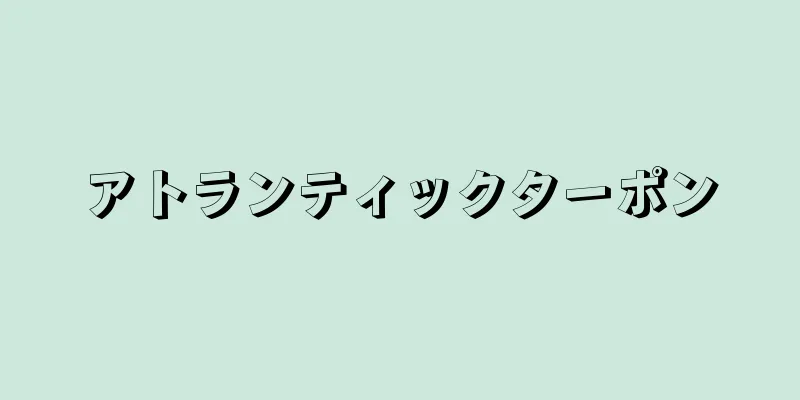 アトランティックターポン