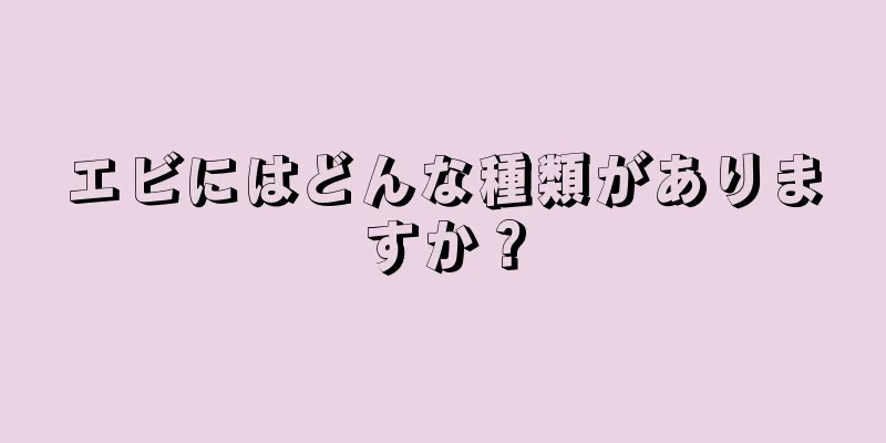 エビにはどんな種類がありますか？