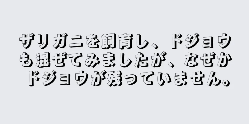 ザリガニを飼育し、ドジョウも混ぜてみましたが、なぜかドジョウが残っていません。