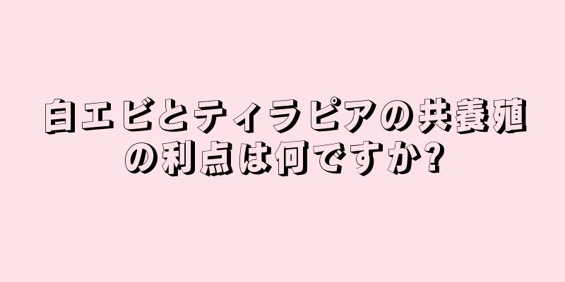 白エビとティラピアの共養殖の利点は何ですか?