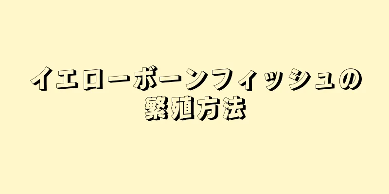 イエローボーンフィッシュの繁殖方法