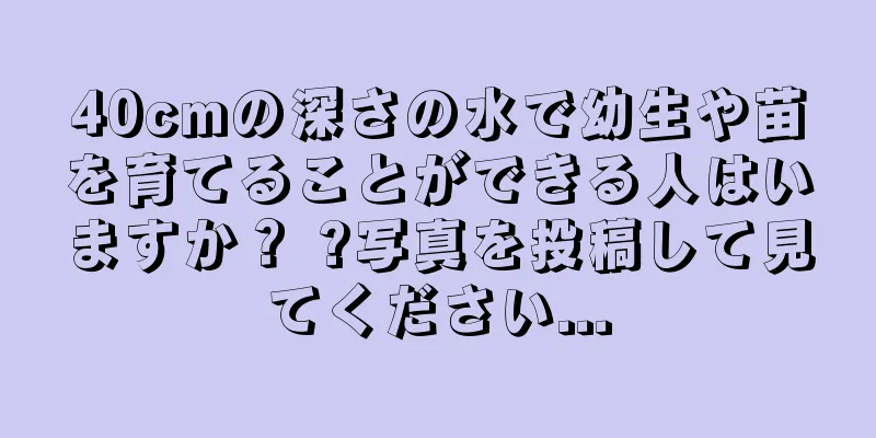 40cmの深さの水で幼生や苗を育てることができる人はいますか？ ?写真を投稿して見てください...