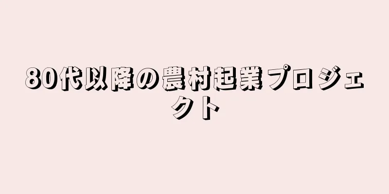 80代以降の農村起業プロジェクト