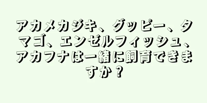 アカメカジキ、グッピー、タマゴ、エンゼルフィッシュ、アカフナは一緒に飼育できますか？