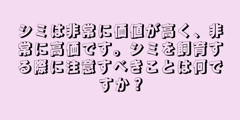 シミは非常に価値が高く、非常に高価です。シミを飼育する際に注意すべきことは何ですか？