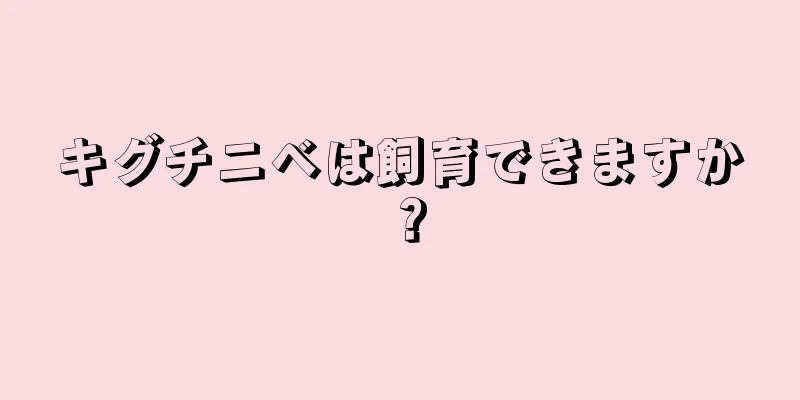 キグチニベは飼育できますか？