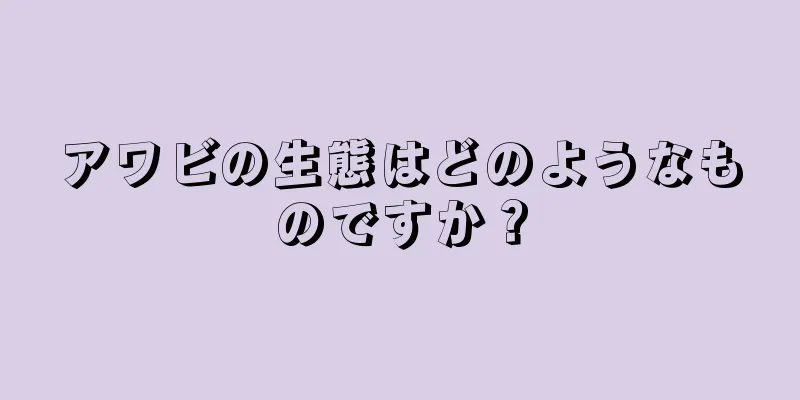 アワビの生態はどのようなものですか？