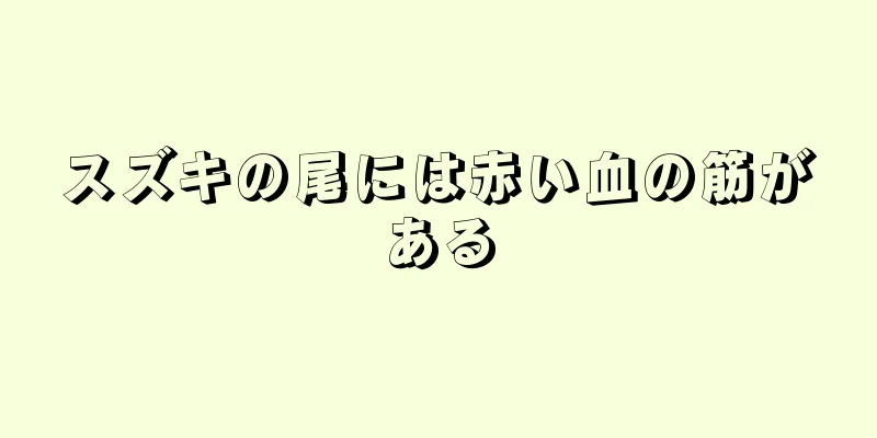 スズキの尾には赤い血の筋がある