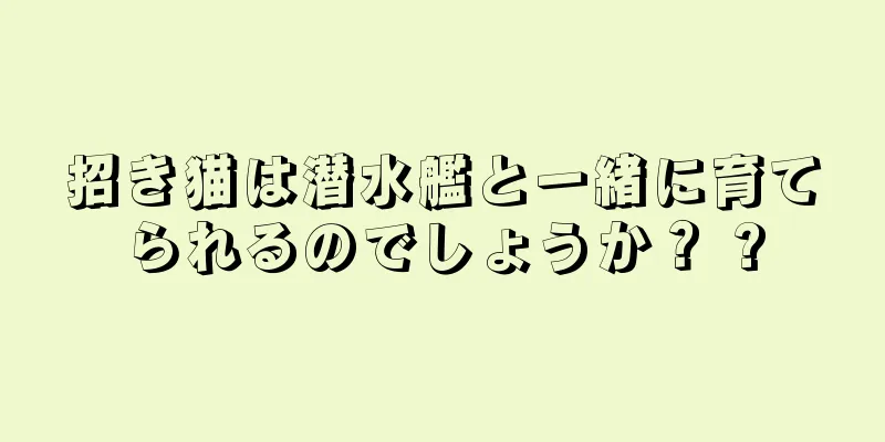 招き猫は潜水艦と一緒に育てられるのでしょうか？ ?