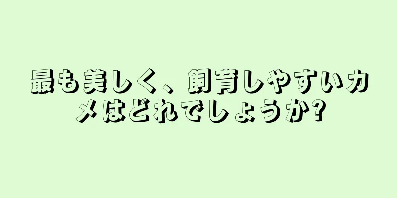最も美しく、飼育しやすいカメはどれでしょうか?