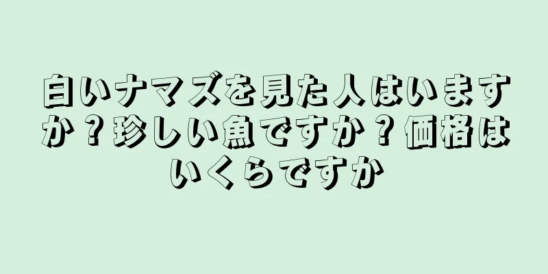 白いナマズを見た人はいますか？珍しい魚ですか？価格はいくらですか