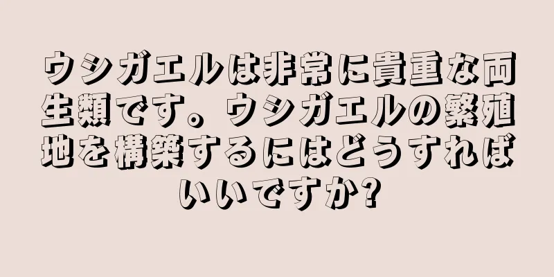 ウシガエルは非常に貴重な両生類です。ウシガエルの繁殖地を構築するにはどうすればいいですか?