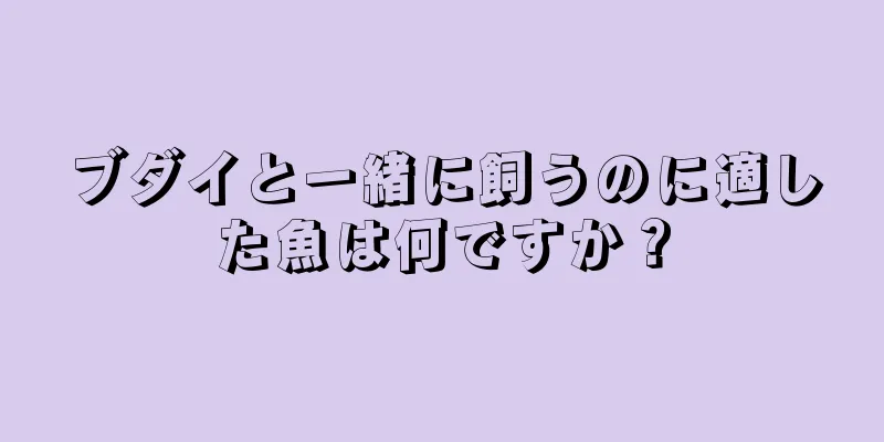 ブダイと一緒に飼うのに適した魚は何ですか？