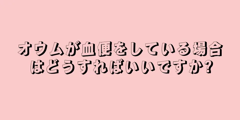 オウムが血便をしている場合はどうすればいいですか?