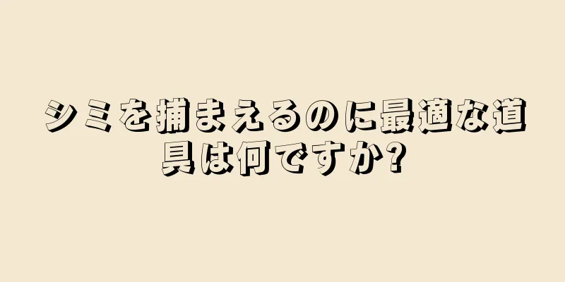 シミを捕まえるのに最適な道具は何ですか?