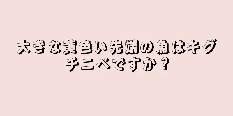 大きな黄色い先端の魚はキグチニベですか？