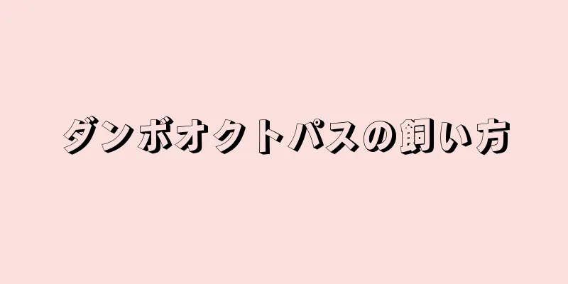 ダンボオクトパスの飼い方