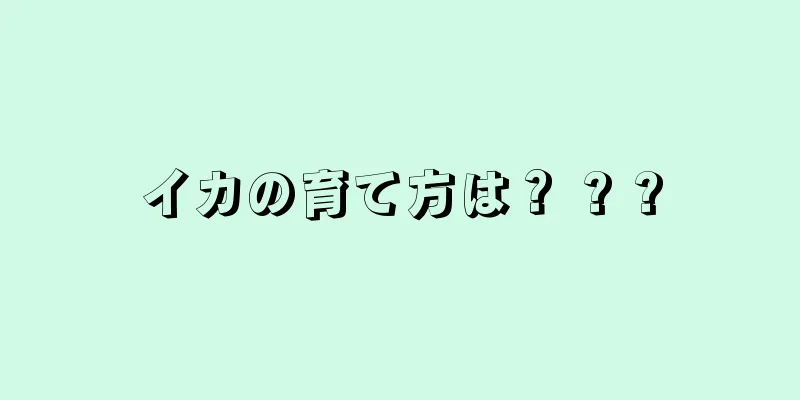 イカの育て方は？ ? ?