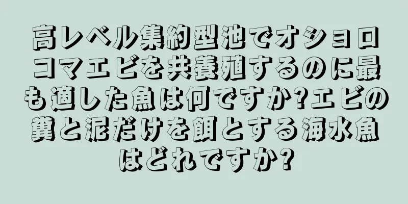 高レベル集約型池でオショロコマエビを共養殖するのに最も適した魚は何ですか?エビの糞と泥だけを餌とする海水魚はどれですか?