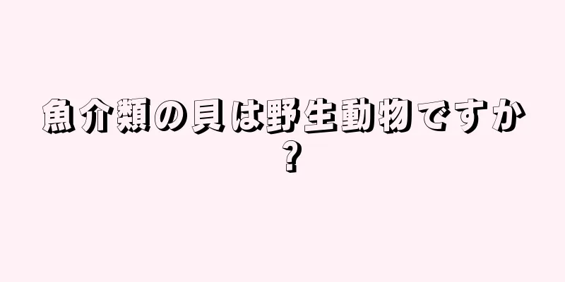 魚介類の貝は野生動物ですか？