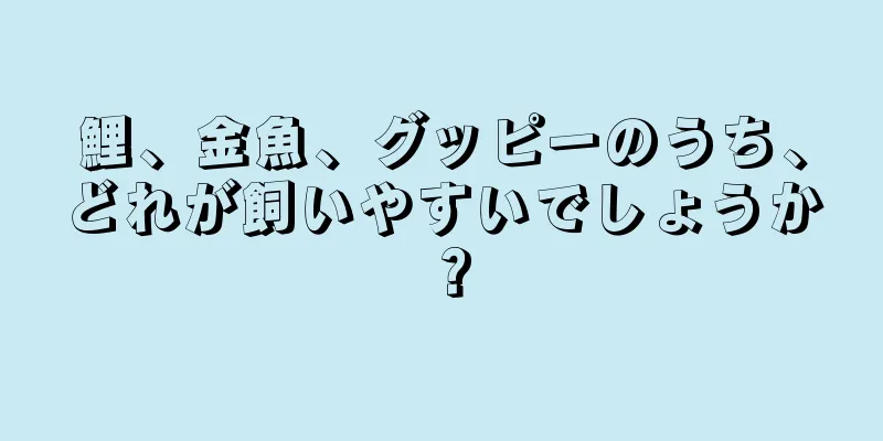 鯉、金魚、グッピーのうち、どれが飼いやすいでしょうか？