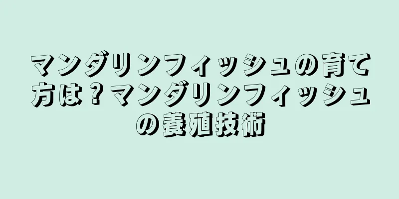 マンダリンフィッシュの育て方は？マンダリンフィッシュの養殖技術