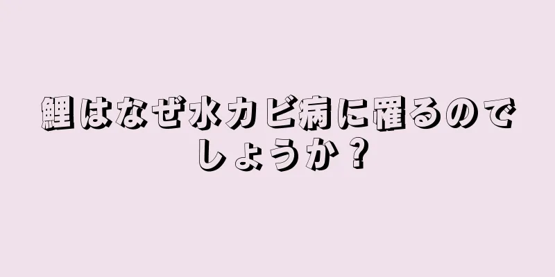 鯉はなぜ水カビ病に罹るのでしょうか？